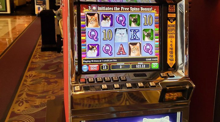 Video slot machine cabinet with lit reels